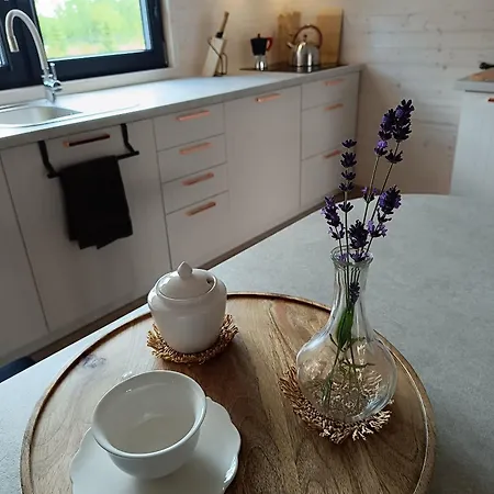 Szumiace Drzewa * Debina (Ustka)